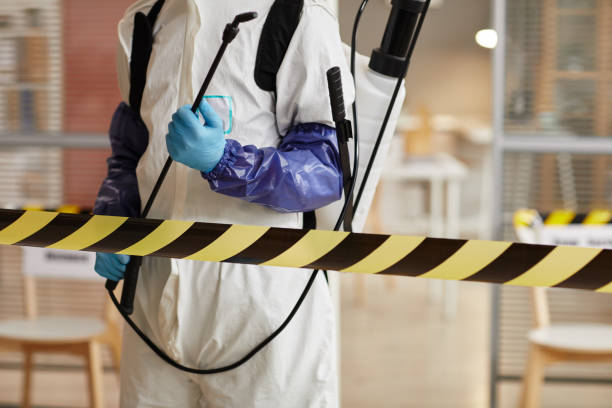 Professional Sewage Cleanup technician working in Combs, AR